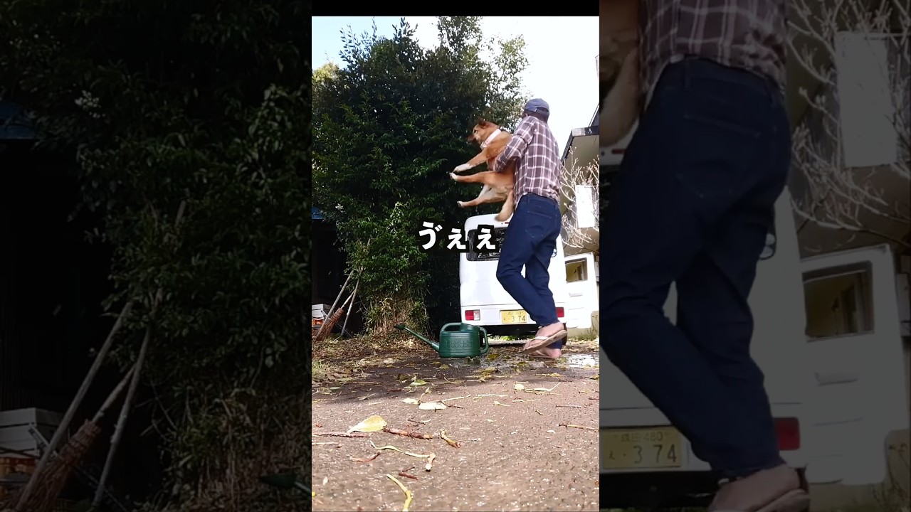 畑戻りのルーティン。