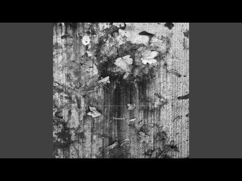 In the Passing Distance