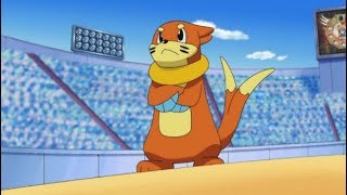 All Ash's Buizel moves