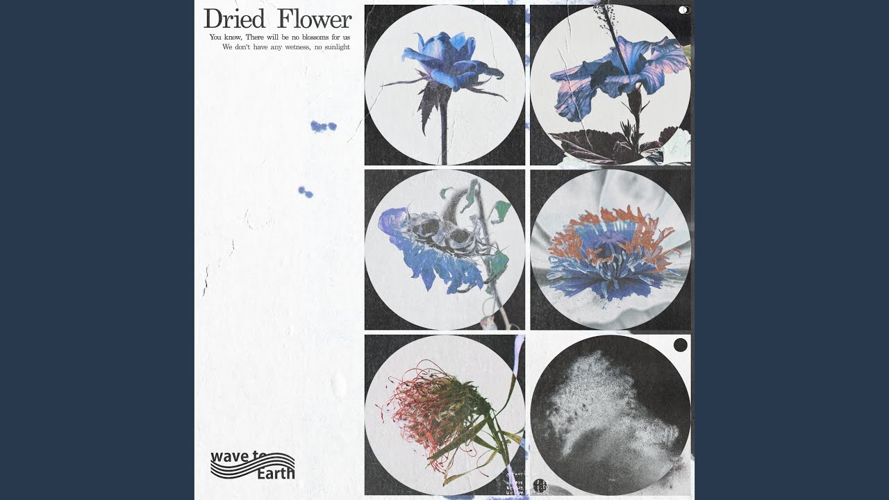 dried flower