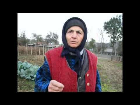 Damieneşti APIA Ancheta SOROS de Olimpia Filip