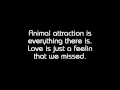 Reckless Love - Animal Attraction with lyrics 