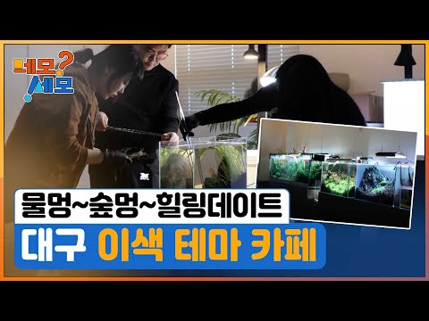 [네모세모] 대구 이색 테마 카페
