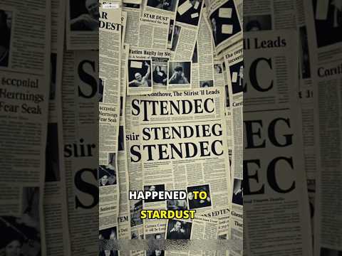 STENDEC: Unsolved Mystery of Flight Stardust