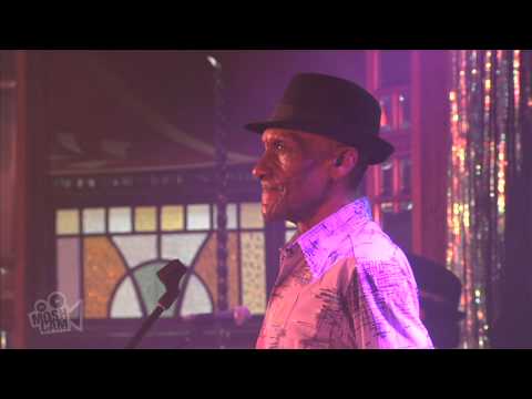 The Jolly Boys - Golden Brown (The Stranglers) (Live at Sydney Festival) | Moshcam