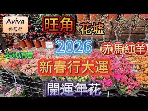 [旺角] 花墟 | 辦年貨 | 賀年禮品 | 有咩食 | 有咩買 | 美食 |  好去處 | 香港特色街道 | 導賞遊 | 香港歷史 | 香港建築 | 導賞團 | 香港旅遊 | 香港文化 | 2026