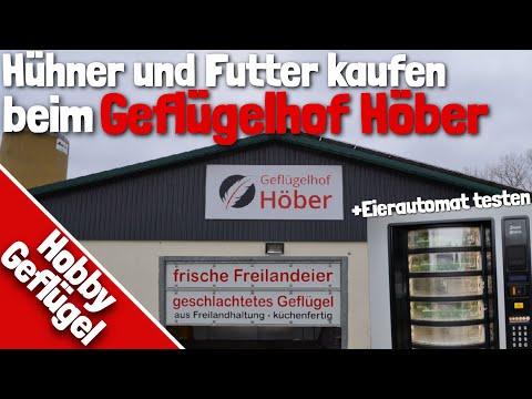 Hühner und Futter kaufen beim Geflügelhof Höber
