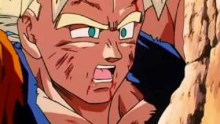 DBZ- I Guess You're Right