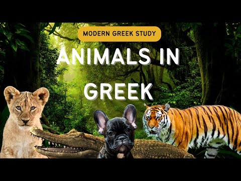 Animals in Greek: Master over 60 words in less than 3 minutes!