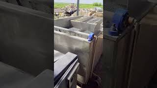 Dehairing machine with scalding tank for pig other meat processing equipment for sale - Image 4 | Machineryline CA Dehairing machine with scalding tank for pig other meat processing equipment | Image 4 - Machineryline