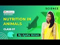 Nutrition In Animals Class 7 Science Online Classes Swiflearn Session 1