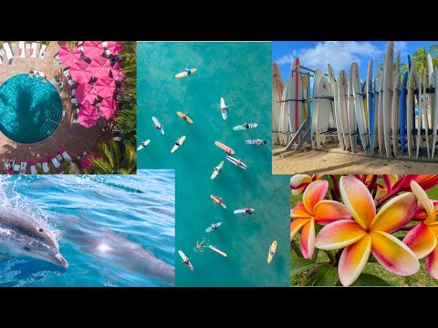 Summer is coming l Playlist