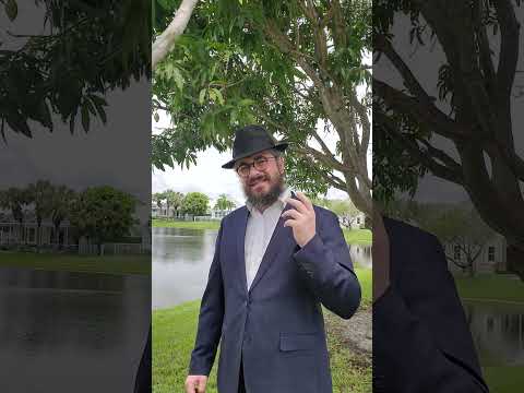 When Should You Say Baruch Hashem?