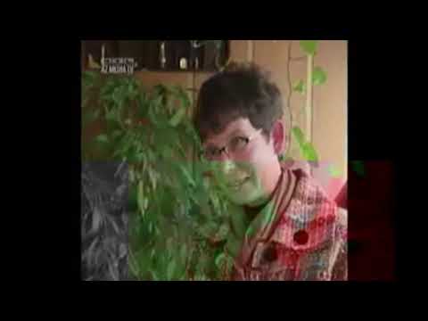 Aus dem Leben gerissen – Wenn Eltern Ihr Kind verlieren