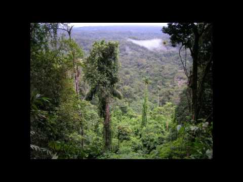 Senses feat RTM-Contrast