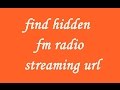 How to find all the hidden fm radio streaming url