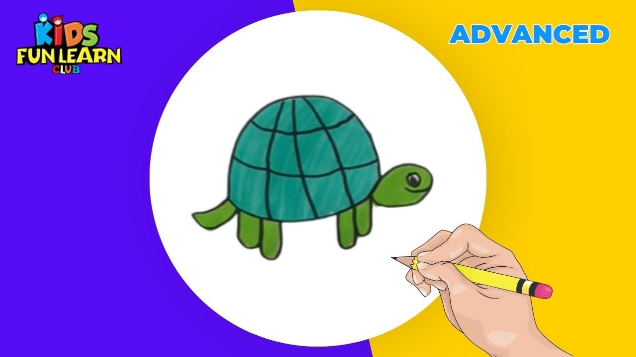How to draw baby turtle