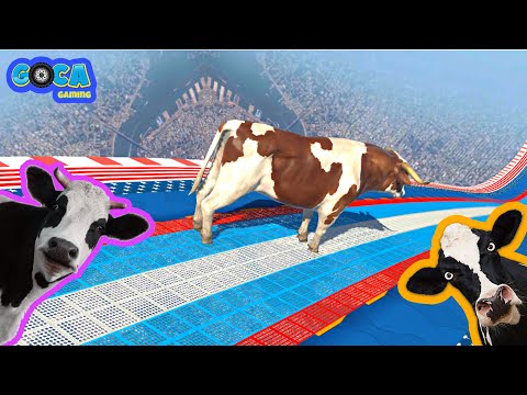 Crazy Cow Parkour