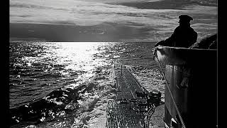 herbert grönemeyer - jetzt oder nie