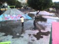 IMG 0000