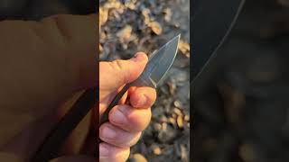 Download lagu ESEE Candiru out hunting English Hares #eseeknives #outdoors #edc #fixedblades mp3