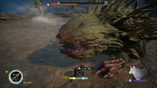 初期ステ縛り ノーダメ 腐食体ヌェ 前哨戦3 Beast of Reincarnation