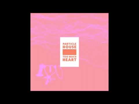Particle House ft  Sousa Perth   Endless Summer Instrumental
