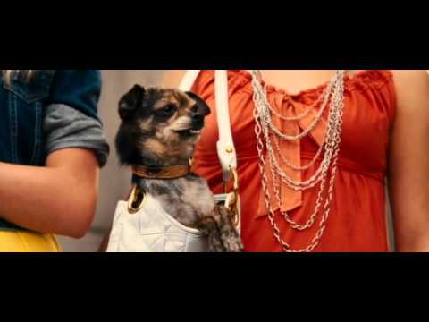 Marmaduke Clip - Canine Accessory