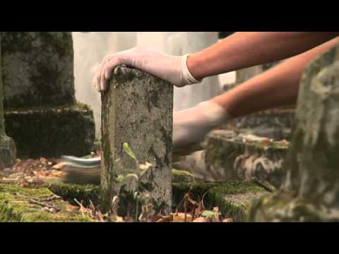 Wołyń 2013   rebelia