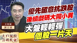 優先留意抗跌股後續戲碼大同小異大盤輕輕彈個股一片天｜大戶羅盤籌碼動能 ｜謝宗霖 (圖)