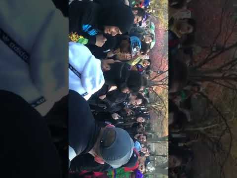 NYC/4-20 weed fest in the park