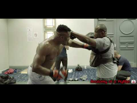 UFC 220: Volkan Oezdemir & Francis NGannou working out in Boston