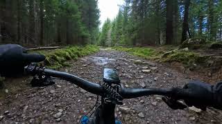 Traktoerstien vestover mot Bøveien #emtb #sworks #turbolevo #insta360goultra