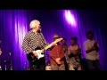 ROBYN HITCHCOCK San Francisco 2013 "Listening to the Higsons" Live