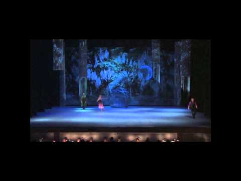 A midsummer night\'s dream | NetworkDance
