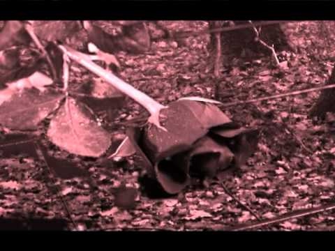 Classificados - Rosa (do teu jeito de ser)