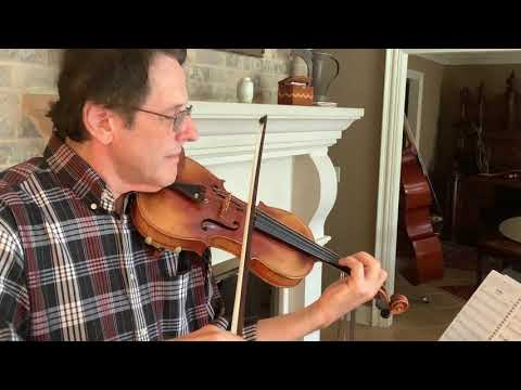 Vintage Bohemian Full Size Violin Branded Stainer image 9