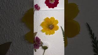 كيكة حديقة الورد