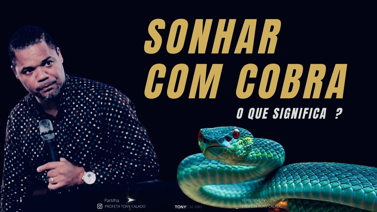 O Que Significa Sonhar Com Cobra ?  | Tony Calado