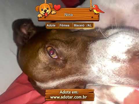 Vídeo de Nina 