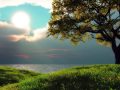 ATB Feat Michal The Girl - The Autumn Leaves ...