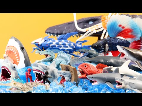Scary Shark Figures and Marine Life Figures Jaws