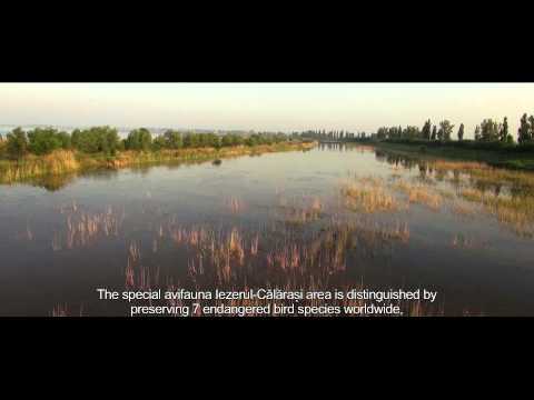 Iezerul Calarasi MPEG 4