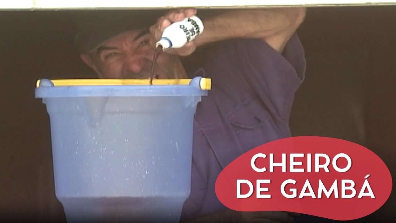 IVO HOLANDA JOGOU ÁGUA DA PRIVADA NOS OUTROS | CÂMERAS ESCONDIDAS