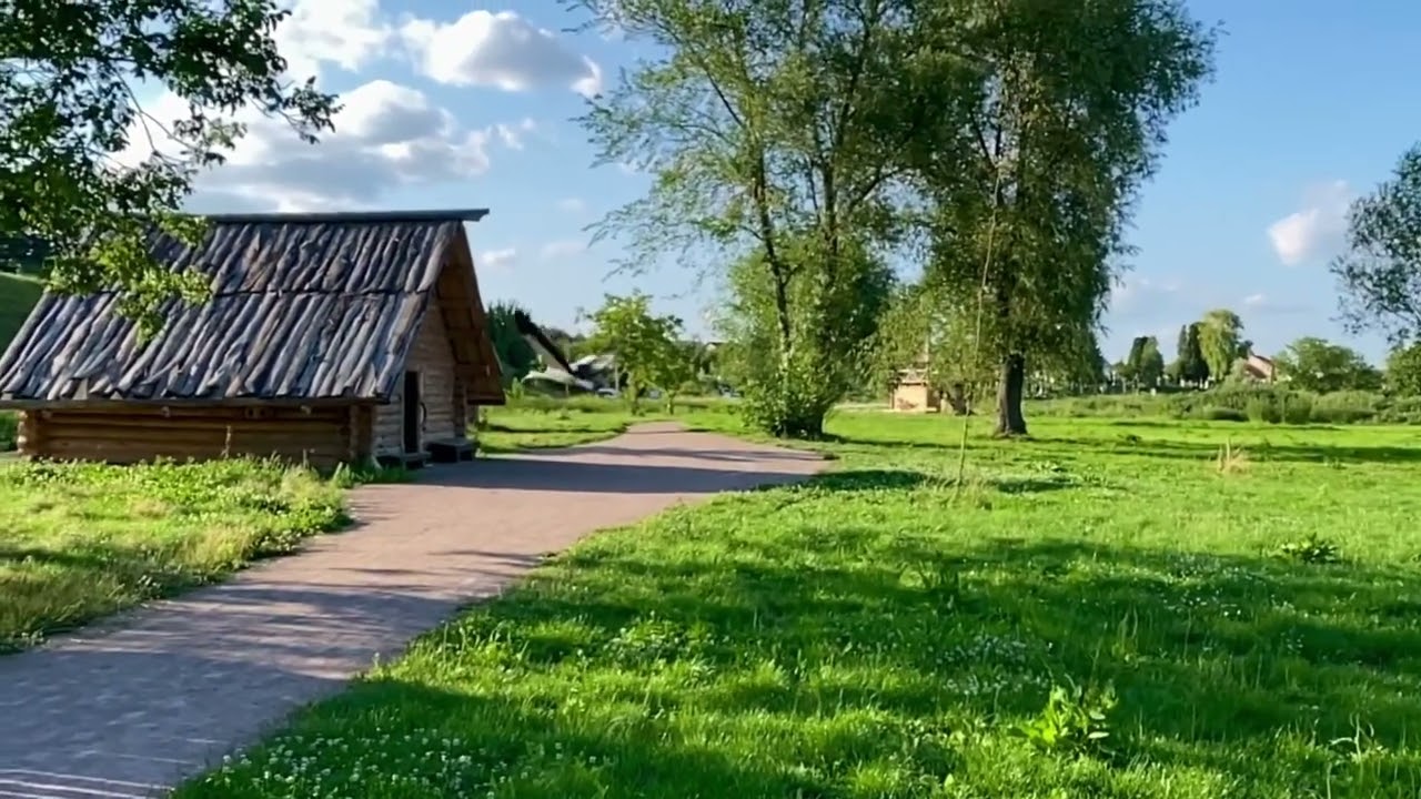 Молодий лелека вчитися літати