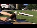 Zoomates Eagle S Fourth Of July Party