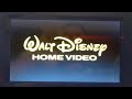 Opening To A Bug S Life 2000 DVD
