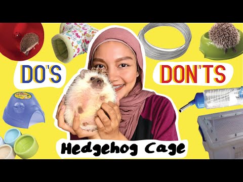 , title : '🦔All About Hedgehog Cage | Landak Mini'