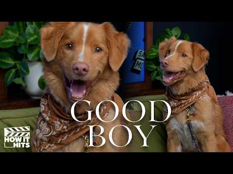 How They Made 'Good Boy' Starring (Essentially) Only A Dog