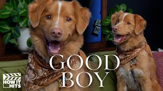 How They Made 'Good Boy' Starring (Essentially) Only A Dog